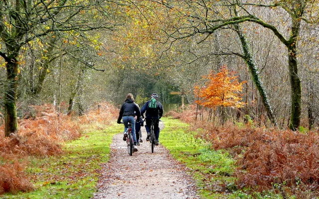 Cycling scene for how to plan a weekend cycle route in the uk